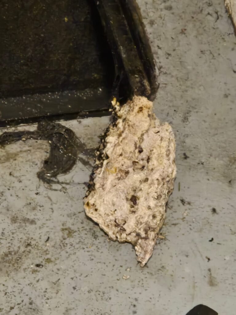 Assainissement Liège - Extraction Calcaire - Liegedebouchage