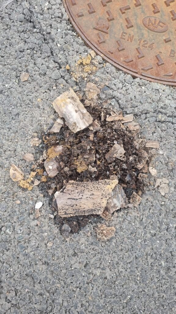 Extraction de calcaire massif dans une canalisation d'égout à Liège.
